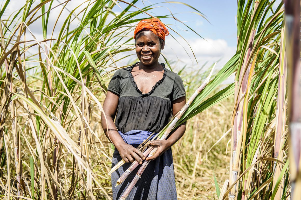 Copyright of Jason J Mulikita Photography