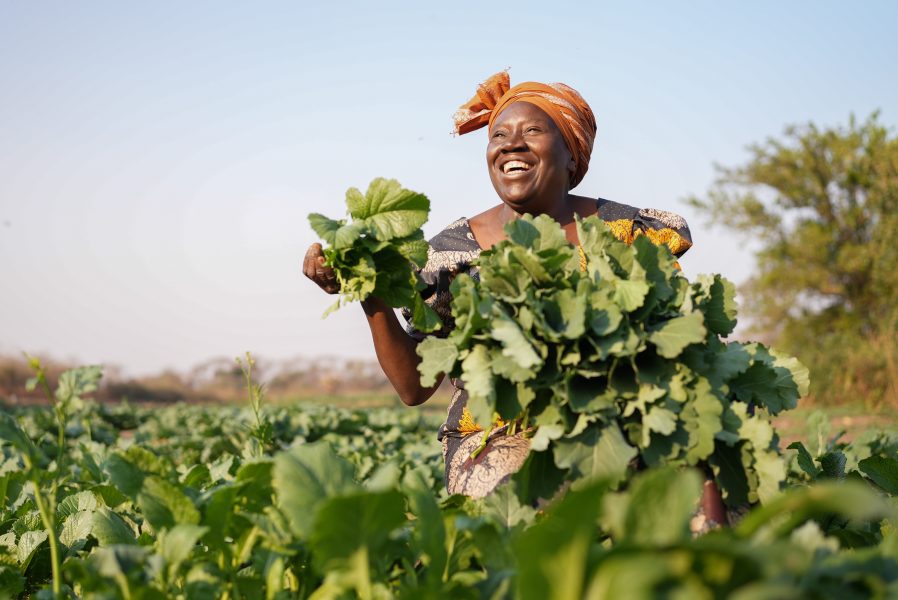 Judith Mwila, a Zambian female farmer. Photo by Jason J Mulikita